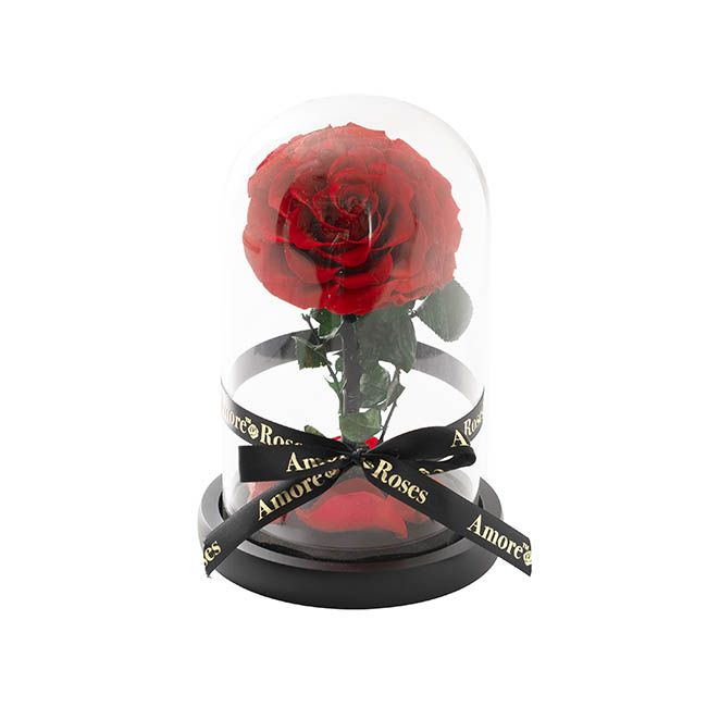 Forever Rose Cloche - Image 2